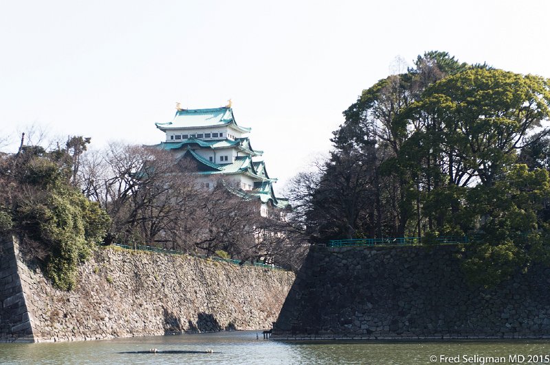 20150312_095215 D4S.jpg - Nagoya Castle